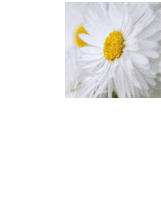 Irina , profile picture