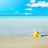 island_star, profile picture