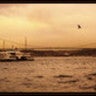 SlideShare profile picture for @istanbul