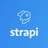 Strapi, profile picture
