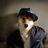 Joao Gumiero, profile picture