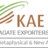 Kabeeragate, profile picture