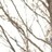 kedar nath, profile picture