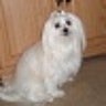 Kathy Barcomb Hess Profile