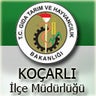 kocarlitarim