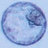 Kosmogonia IVF, profile picture