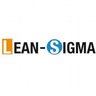 Lean Sigma, profile picture