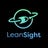 LeanSight Consulting, profile picture