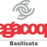 legacoopbasilicata, profile picture