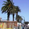 City of Port Phillip, profile picture