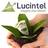 Lucintel, profile picture