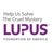 Lupus Foundation of America, profile picture