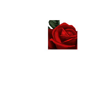 MIRANDA, profile picture