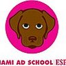 Miami Ad School/ESPM, profile picture