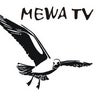 mewatv, profile picture