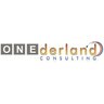 ONE derland Consulting, profile picture