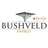Bushveld Energy, profile picture