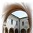 Biblioteca Franco Messora, profile picture