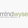 mindwyse GmbH, profile picture