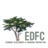 EDFC, profile picture