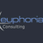 euphoria Consulting UAE, profile picture
