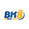 BK8 2025, profile picture
