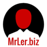 MrLer.biz, profile picture