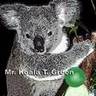 Mr. Koala T. Green, profile picture