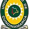 UDEC, profile picture