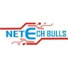 Netech  Bulls, profile picture
