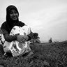 Nima Tyastuti, profile picture