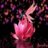 priya Nithya, profile picture