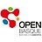 Openbasque, profile picture