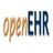 openEHR Foundation, profile picture