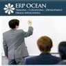ERP OCEAN Infotech Pvt Ltd, profile picture