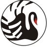 Orient BlackSwan, profile picture
