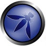 OWASP Brasília, profile picture