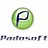 Padosoft.com, profile picture