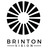 Brinton Vision, profile picture