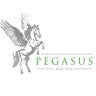 Pegasus Agritech, profile picture
