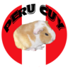 PERU CUY, profile picture