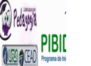 pibidpedagogiaufla, profile picture