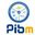 Pibm Pune