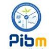 Pibm Pune Profile