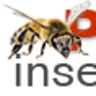 Plase-insecte, profile picture