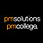 PM Solutions, profile picture