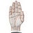 PointFinder Acupressure Guide, profile picture