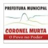 Prefeitura Municipal Coronel Murta, profile picture