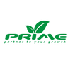 Prime Infoserv, profile picture