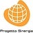 Progetto Sinergia, profile picture